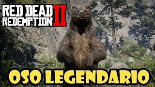 Como cazar al OSO LEGENDARIO en Red Dead Redemption 2 [upl. by Kimball]