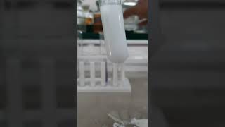 Barium chloride test for sulphate ion [upl. by Lelah]