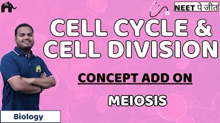 Cell Cycle and Cell Division Class 11 Biology NEET  Meiosis [upl. by Shriver966]