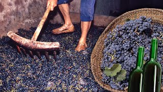 VINO artesanal a partir del PISADO DE LAS UVAS Elaboración tradicional de esta BEBIDA fermentada [upl. by Carper]