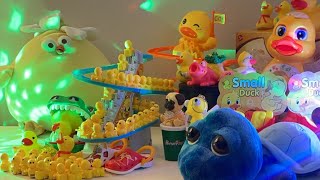 LET’S PLAY asmr asmrsounds asmrvideo satisfying toys duck cute relaxing play playtime [upl. by Treboh]