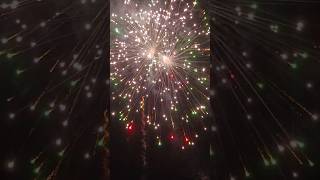 4 inch shell sree Vijay 🎆💥🔥💯😍😱trending fireworks crackers dewali [upl. by Artimas]