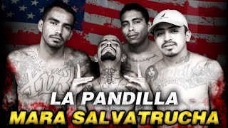 MARA SALVATRUCHA Origen Expansión y Caída De La Pandilla Mas PELIGROSA Del Mundo [upl. by Aletsirc]