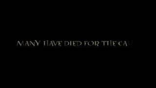 Harry Potter and the Deathly Hallows Trailer [upl. by Saxela]