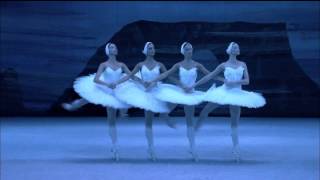 Swan Lake  Danse des petits cygnes [upl. by Garzon413]