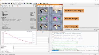 HALCONs DeepLearningBased Object Detection 2 Train a model [upl. by Therese]