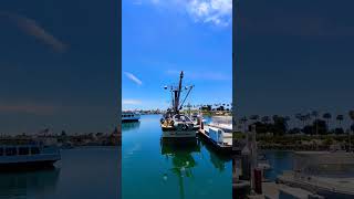 FISHING TRAWLER longbeach california usa fish fishing sea sealife love shorts lifestyle [upl. by Mathi]