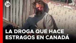 CANADA  Fentanilo La droga zombie hace estragos [upl. by Edahc]