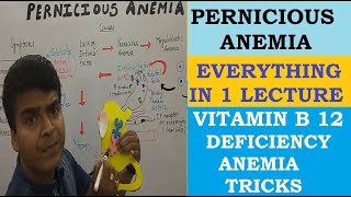 Pernicious Anemia  Vitamin B 12 Deficiency Anemia  Symptom Mnemonics Diet Source Treatment [upl. by Pontus657]