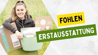 ERSTAUASTATTUNG fürs Pferd 🤩💸  Haul [upl. by Feodor]