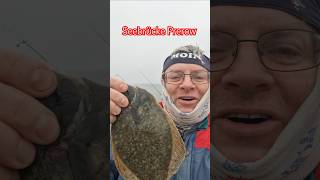 PLATTE von der Seebrücke PREROW fishing youtubehighfive [upl. by Mufi282]