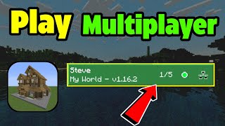 How To Play Multiplayer with Friends in Block Crazy Robo World Vip 3D [upl. by Eemiaj]