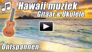 Hawaiian Ontspannen Ukelele Gitaar Instrumentaal Ontspannen Hawaii Volksliederen tropische studie [upl. by Aniad]