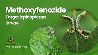 Methoxyfenozide Insecticide Mode of Action formulation Uses and Benefits for Pest Control [upl. by Enixam]