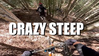 The STEEPEST Secret Track in Pal Arinsal Bike Park [upl. by Navy]