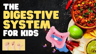 ASL The Digestive System for Kids [upl. by Guillaume]