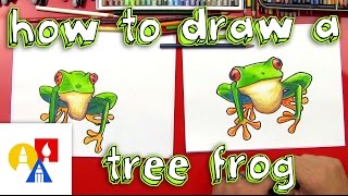 How To Draw A Tree Frog [upl. by Eikkin677]