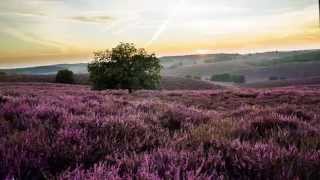 Op de Grote stille Heide Groot Nederlands Mannenkoor M Mans [upl. by Allison]