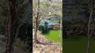 Visitamos el cenote sagrado dentro de la zona arqueológica de Chichen Itzá shorts [upl. by Lenahc]