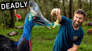 Private Tour Of Floridas Craziest Backyard Zoo [upl. by Itra]