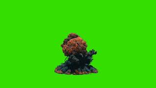 Green Screen Explosion [upl. by Denver]