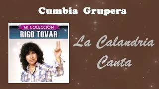 La Calandria Canta  Rigo Tovar • Cumbia Grupera • Cumbias Sólo Cumbias [upl. by Ekaterina]