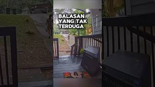 Balasan yang tak terduga shortvideo [upl. by Bibbie]