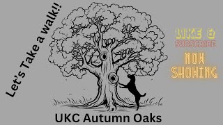 A Walk Around the Fairgrounds at UKC Autumn Oaks [upl. by Perkin]