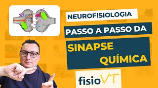 Transmissão Sináptica  02  Sinapse Química  Neurofisiologia [upl. by Bloom]