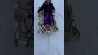 Snow Sledding in Alaska snowsledding alaska [upl. by Rox]