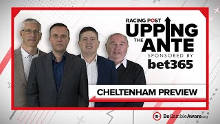 Upping The Ante  Cheltenham Preview Show 2022 [upl. by Judson571]