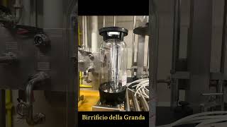 lagranda birrificio artigianale cuneo topquality serate morrasrl lele6873 lavitaebella [upl. by Sremmus]