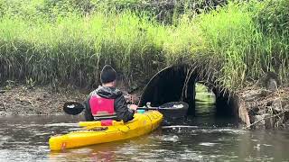 Kayaking Clatskanie River to the rotating bridge [upl. by Anu222]