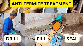 Anti Termite Treatment Everything You Need to Know [upl. by Amelus]