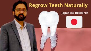 Regrowing Teeth Naturally Breakthrough with a Single Japanese Medicine [upl. by Awe]