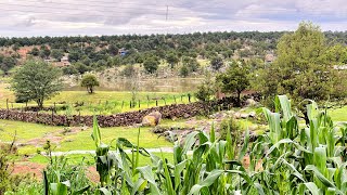 SE ESTA CAYENDO EL CIELO EN MI PUEBLO⛰️🌧️🌱🤠 [upl. by Colline884]