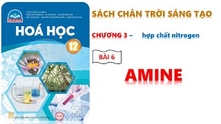 HÓA 12  CHÂN TRỜI SÁNG TẠO  BÀI 6 AMINE [upl. by Winnifred]