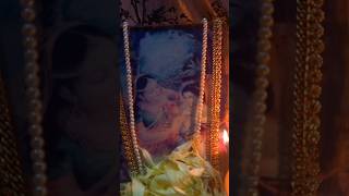 DamodarAstakam and deepdan Day 8 l Appearance day of Sri Radha kunda l JESH VLOGS ltrending shorts [upl. by Haeel]