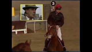 1986 Stayers Hurdle Cheltenham extended [upl. by Oirazan]