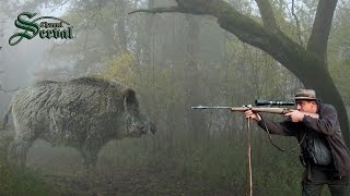 Wild Boar Hunting in Baranya –Part 2 Perfect shots Wildschweinejagd Pirsch in Baranja  2 [upl. by Stevie512]