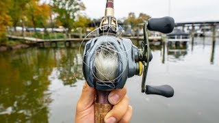 Best Baitcasting Reel EVER or Overhyped Shimano Curado DC Reel Review [upl. by Macmullin]