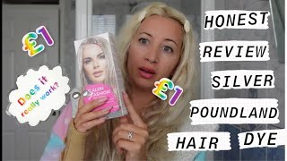 BLONDE TO SILVER  HONEST REVIEW POUNDLAND SILVER HAIR DYEDERMA V10  DOES POUND SHOP HAIR DYE WORK [upl. by Etnelav]