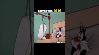 Silvestre vs Perro cartoon funny humor shorts shortsfeed shortsviral [upl. by Irb740]