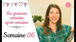 6ème semaine de grossesse – L’alimentation [upl. by Aicenert]