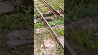 Тесовская ужд Новгородская область жд ужд railway [upl. by Aivatnohs327]