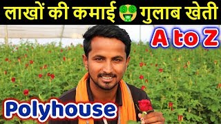 फूलों की मालामाल खेती 🌹🌹 गुलाब खेती  Biggest HiTech Rose Farming Business in India [upl. by Bryanty150]