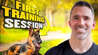 First Steps in Training a LeashReactive German Shepherd [upl. by Tada]