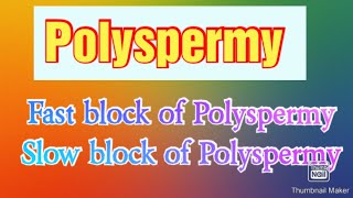 What is PolyspermyMechanism of Polyspermy  Slow block amp Fast block PolyspermyDevelopmental Bio [upl. by Suivatal20]