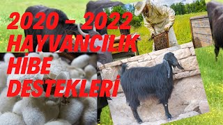 \u00100  P HİBE  Hayvancılık Yatırımlarına Hibe Desteği 20202022 [upl. by Radburn]