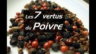 TOP 7 vertus du poivre pour la santé [upl. by Ainoval908]